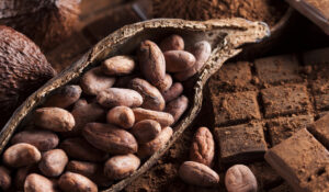 Beneficios del cacao